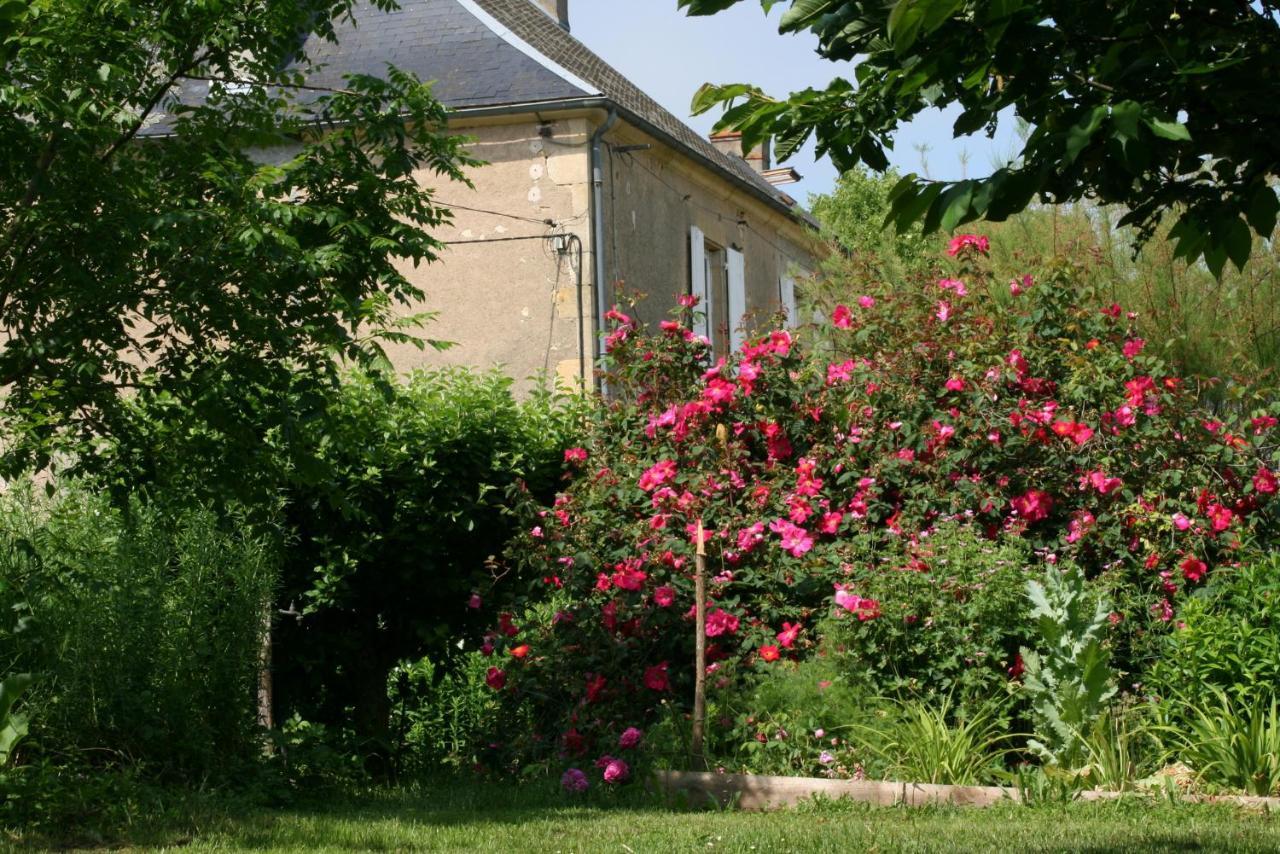 Chambres D'Hotes Du Jay La Guerche-sur-l'Aubois Ngoại thất bức ảnh